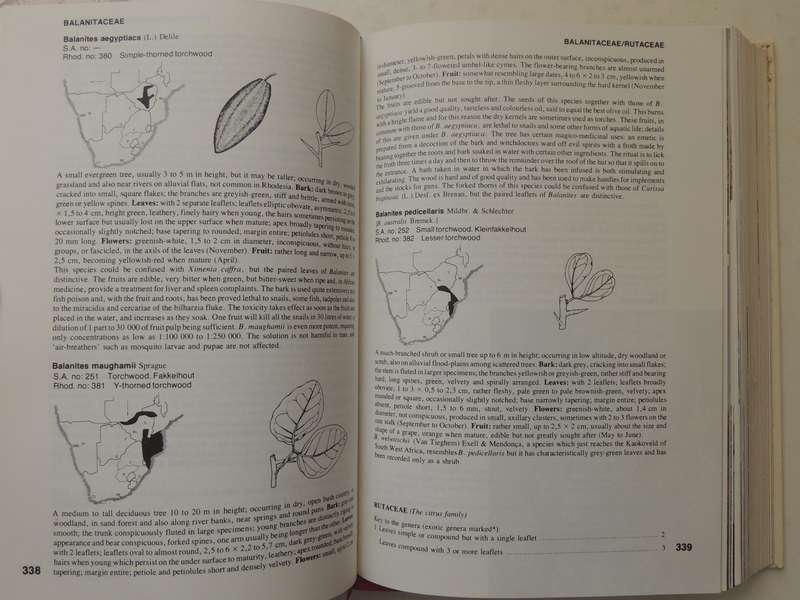 TREES of Southern Africa - 2nd Revised EditionKeith & Meg Coates Palgrave