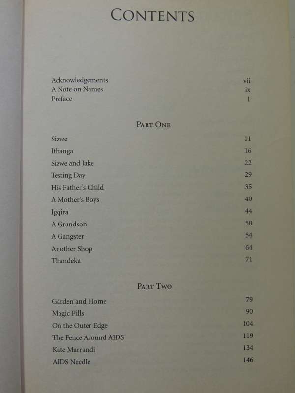Three Letter Plague: A Young Man's Journey Through A Great Epidemic - Jonny Steinberg