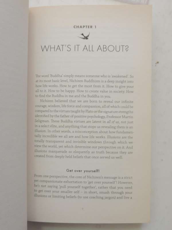 The Buddha In Me, The Buddha In You: A Handbook For Happiness - David Hare