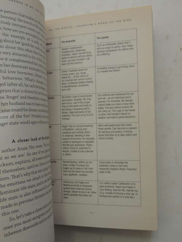 The Buddha In Me, The Buddha In You: A Handbook For Happiness - David Hare