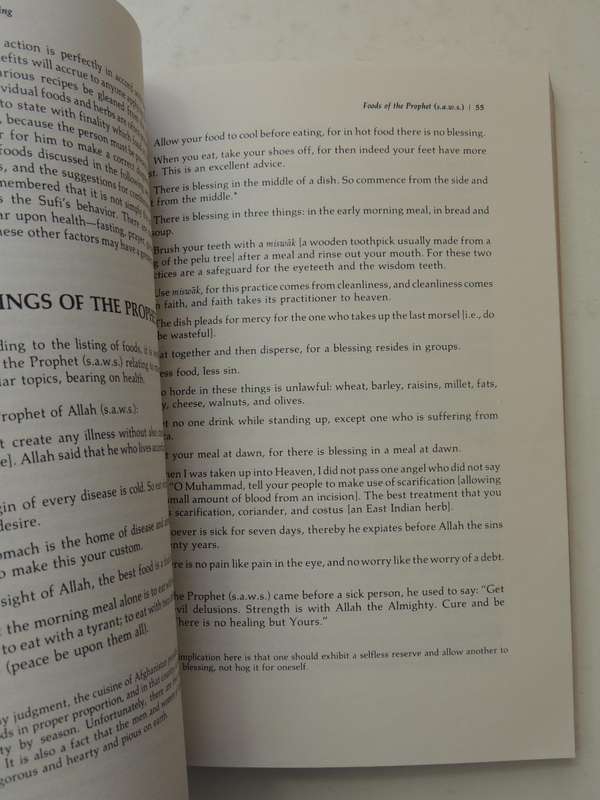 The Book of Sufi healing - Shaykh Hakim Moinuddin Chishti