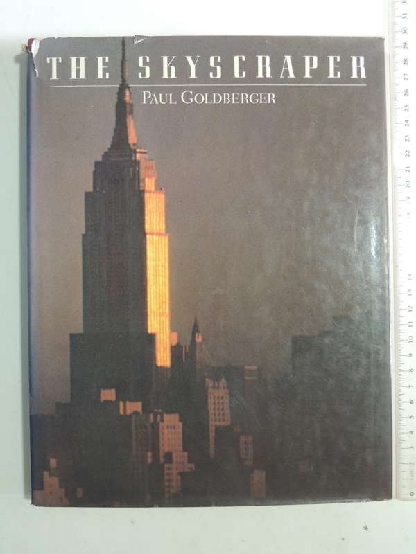 The Skyscraper- Paul Goldberger