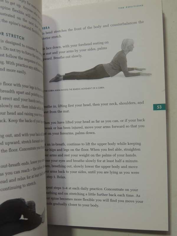 Yoga: An Introductory Guide To Optimum Health For Mind, Body And Spirit - Howard Kent