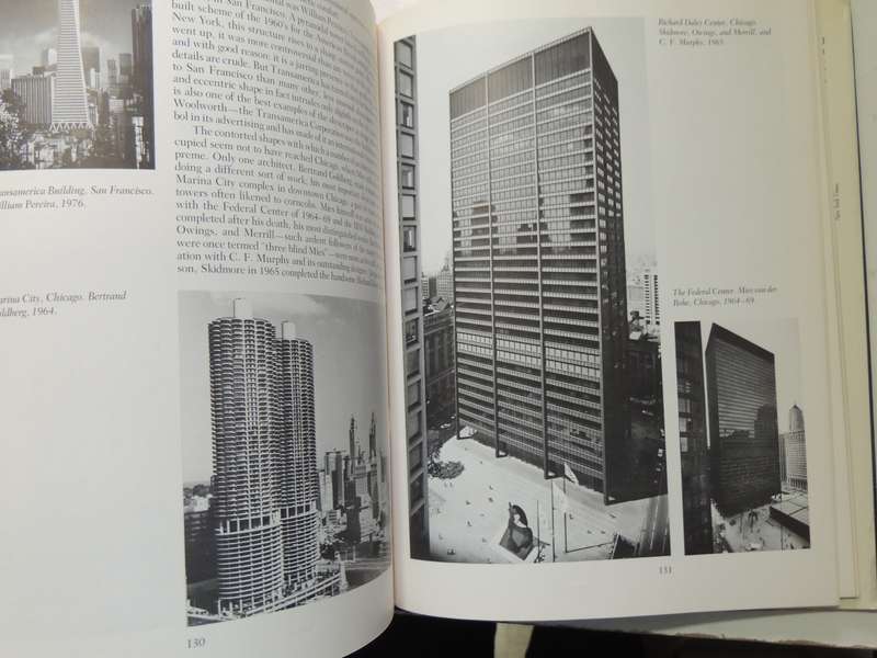 The Skyscraper- Paul Goldberger