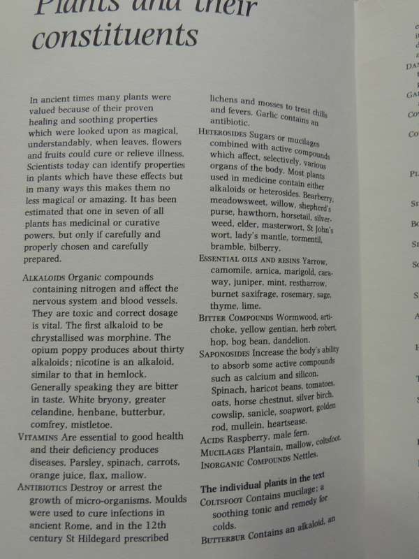 Common Plants As Natural Remedies - Cynthia Wickham