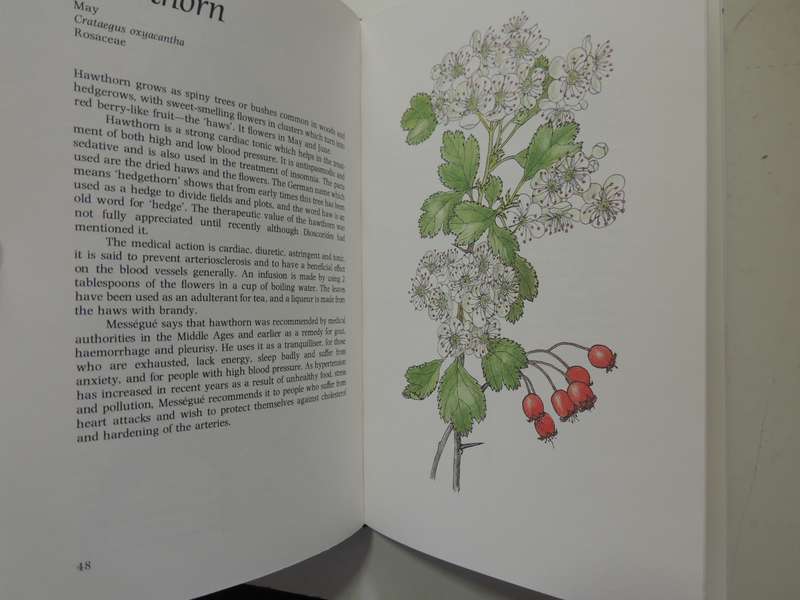 Common Plants As Natural Remedies - Cynthia Wickham