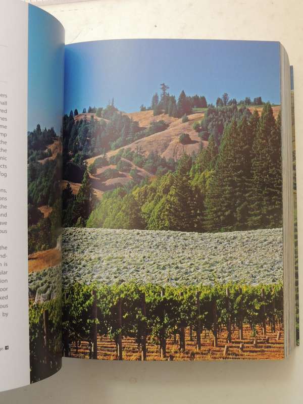 1001 Wines You Must Try Before You Die - Ed Neil Beckett