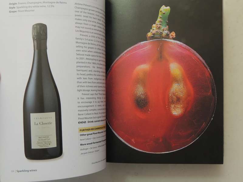 1001 Wines You Must Try Before You Die - Ed Neil Beckett