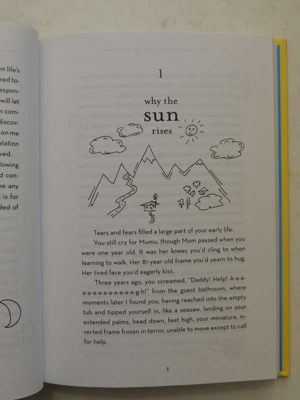 Beginner's Guide To The Universe: Uncommon Ideas For Living An Unusually Happy Life - Mike Dooley