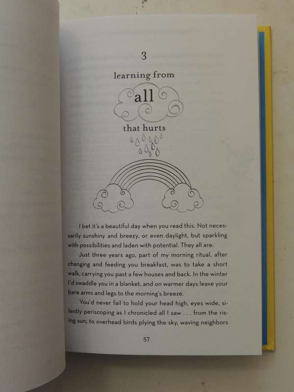 Beginner's Guide To The Universe: Uncommon Ideas For Living An Unusually Happy Life - Mike Dooley