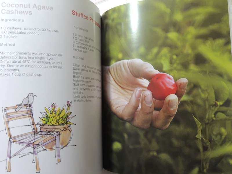Leafy Greens Café: Recipes From Our Organic Garden - Antonia De Luca