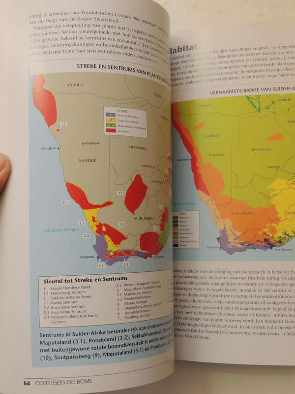 Identifiseer die Bome van Suider-Afrika- Braam van Wyk, Piet van Wyk   AFRIKAANS