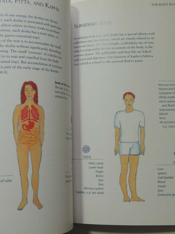 The Book Of Ayurveda: A Guide To Personal Wellbeing - Judith H. Morrison