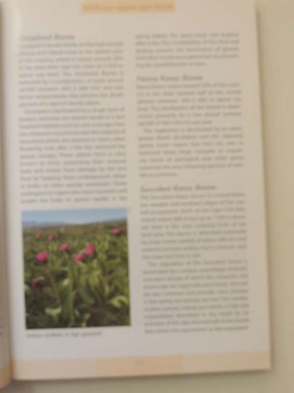 Photographic Guide to the Wildflowers of South Africa - John Manning