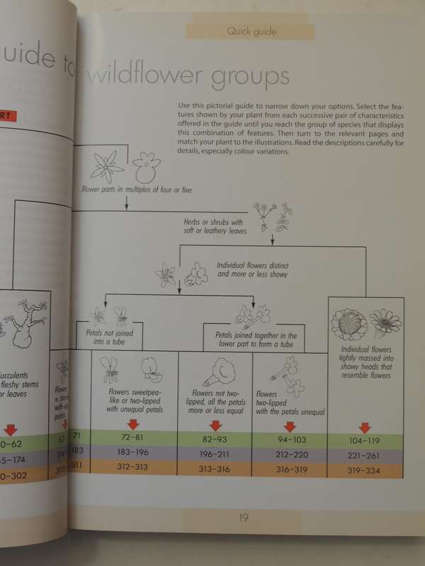 Photographic Guide to the Wildflowers of South Africa - John Manning
