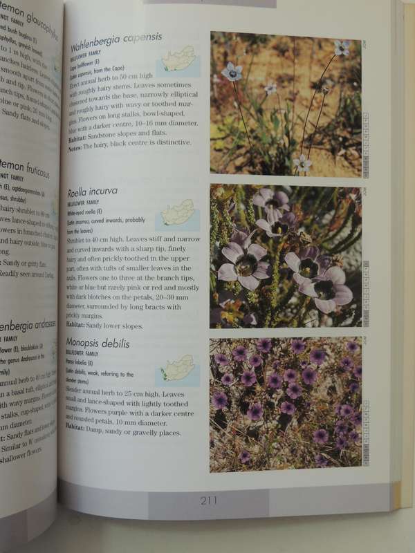 Photographic Guide to the Wildflowers of South Africa - John Manning