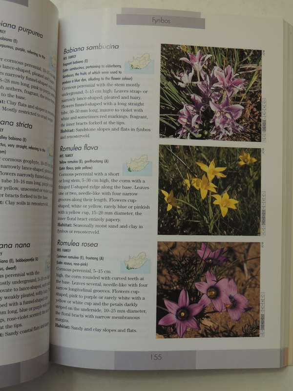 Photographic Guide to the Wildflowers of South Africa - John Manning