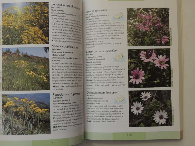 Photographic Guide to the Wildflowers of South Africa - John Manning