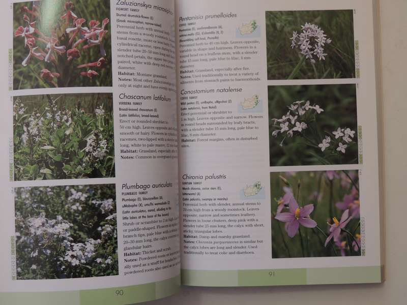 Photographic Guide to the Wildflowers of South Africa - John Manning