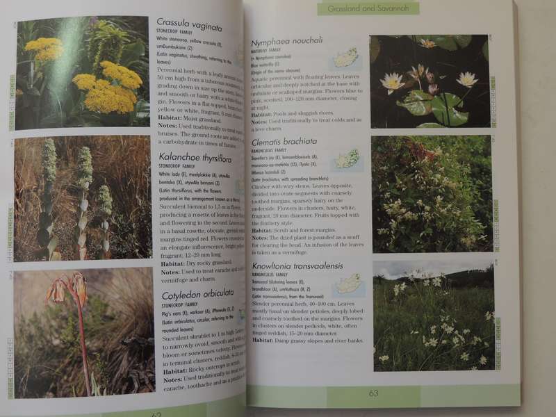 Photographic Guide to the Wildflowers of South Africa - John Manning