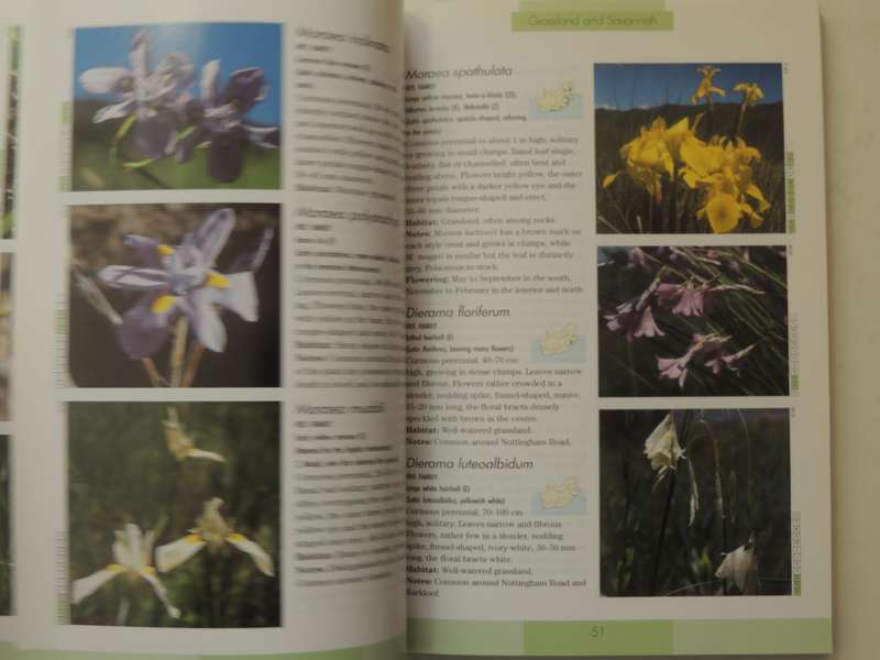 Photographic Guide to the Wildflowers of South Africa - John Manning