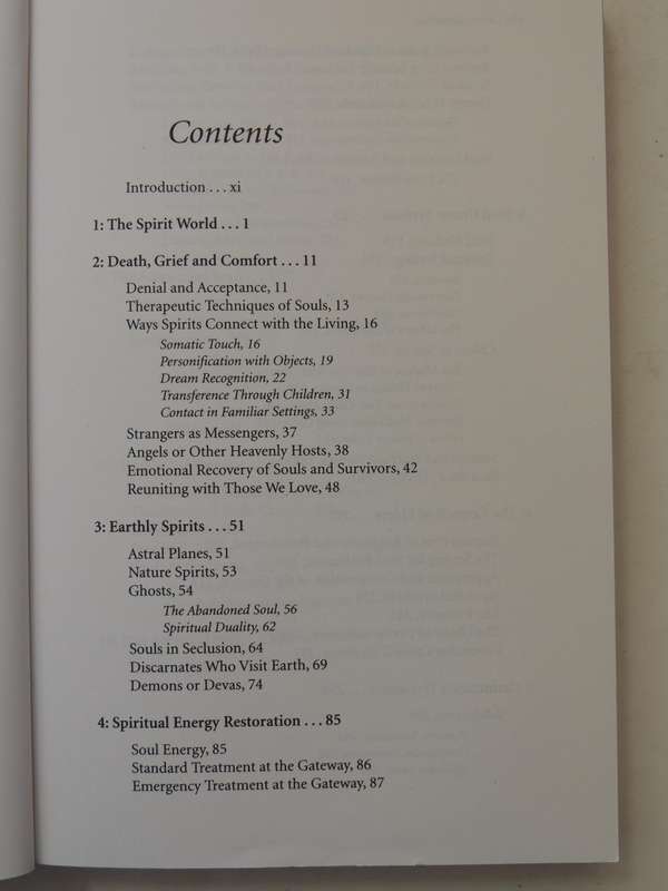 Destiny of Souls - New Case Studies Between Lives - Michael Newton