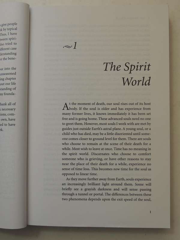 Destiny of Souls - New Case Studies Between Lives - Michael Newton