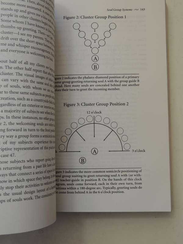 Destiny of Souls - New Case Studies Between Lives - Michael Newton