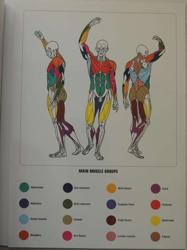 Strength Training Anatomy  - Frederic Delavier