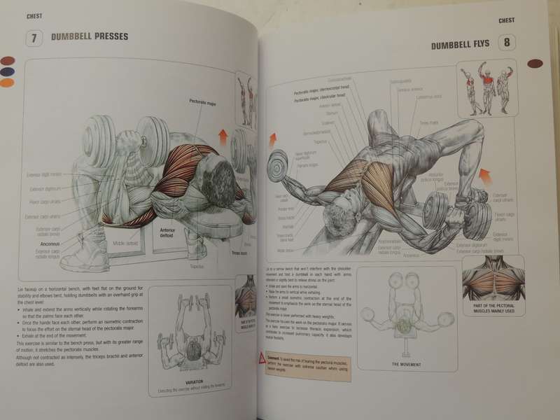 Strength Training Anatomy  - Frederic Delavier