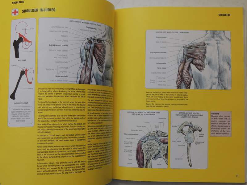 Strength Training Anatomy  - Frederic Delavier