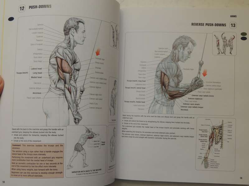 Strength Training Anatomy  - Frederic Delavier