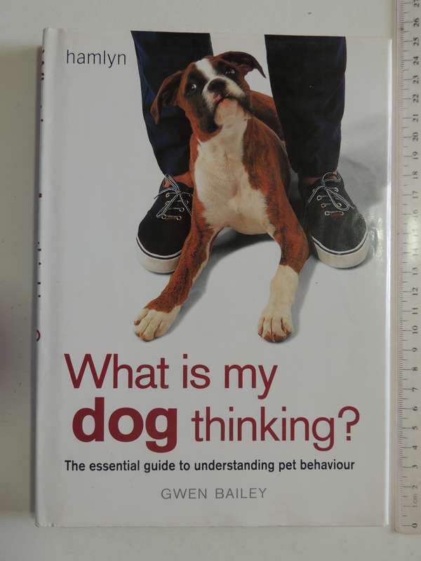 What is My Dog Thinking? The Essential Guide to Understanding Pet Behavious - Gwen Bailey