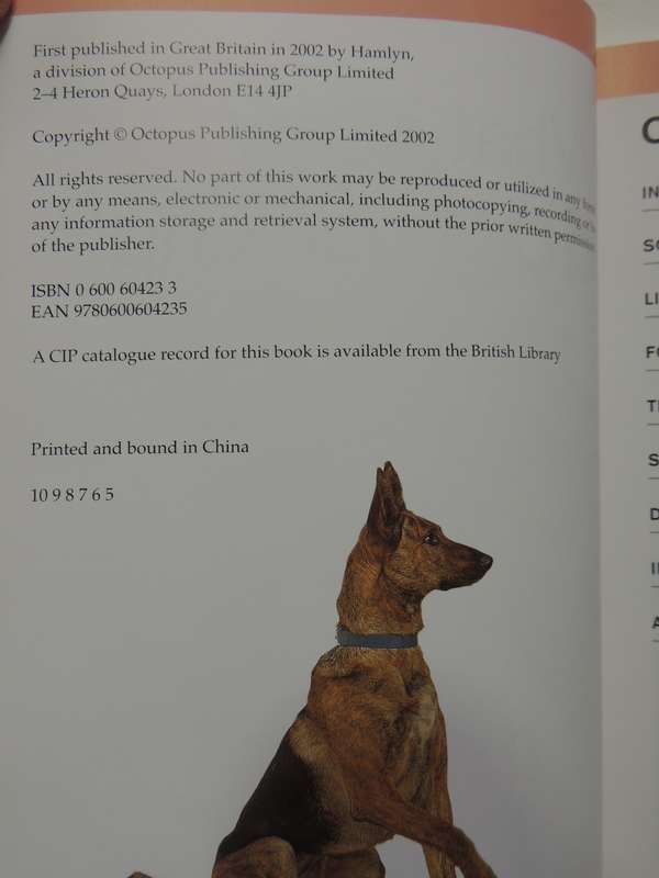 What is My Dog Thinking? The Essential Guide to Understanding Pet Behavious - Gwen Bailey
