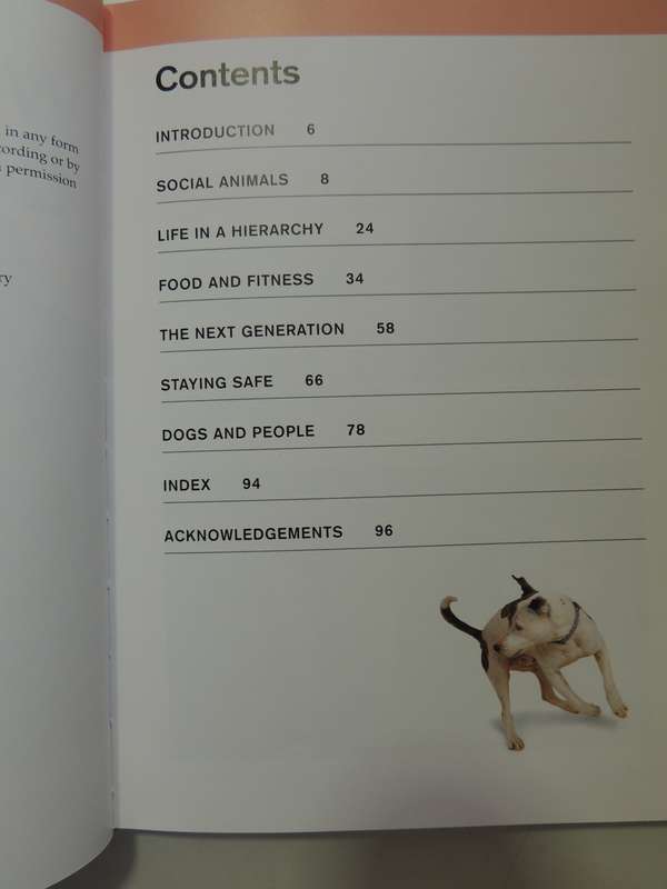 What is My Dog Thinking? The Essential Guide to Understanding Pet Behavious - Gwen Bailey