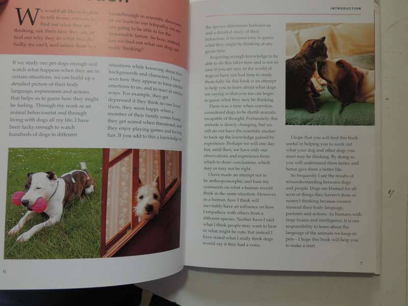 What is My Dog Thinking? The Essential Guide to Understanding Pet Behavious - Gwen Bailey