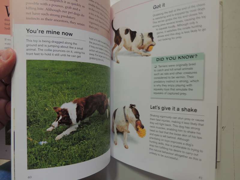 What is My Dog Thinking? The Essential Guide to Understanding Pet Behavious - Gwen Bailey