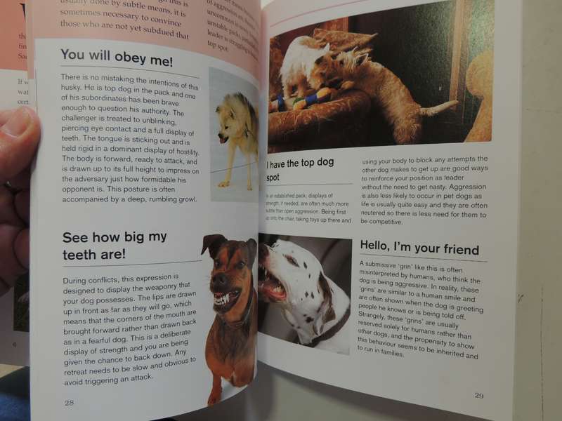 What is My Dog Thinking? The Essential Guide to Understanding Pet Behavious - Gwen Bailey