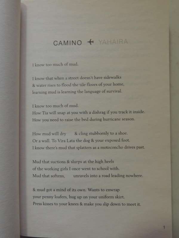 Clap When You Land - Elizabeth Acevedo