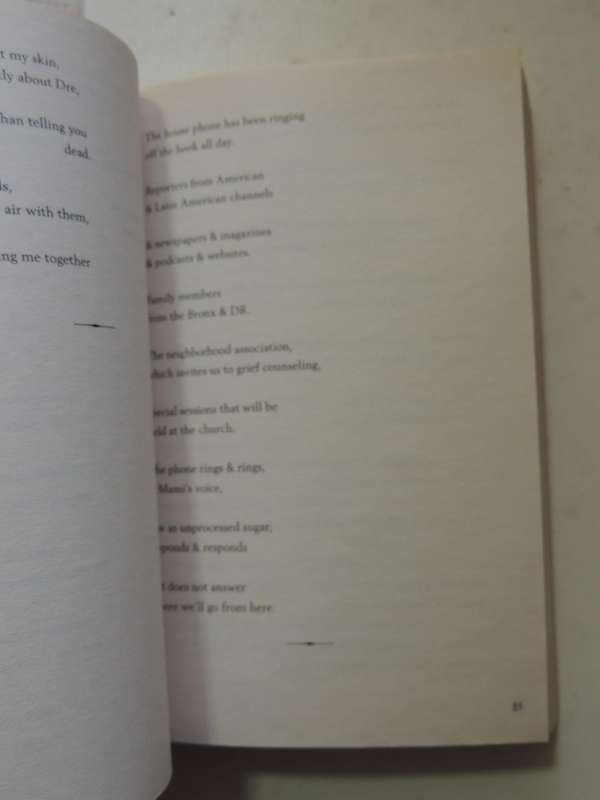 Clap When You Land - Elizabeth Acevedo