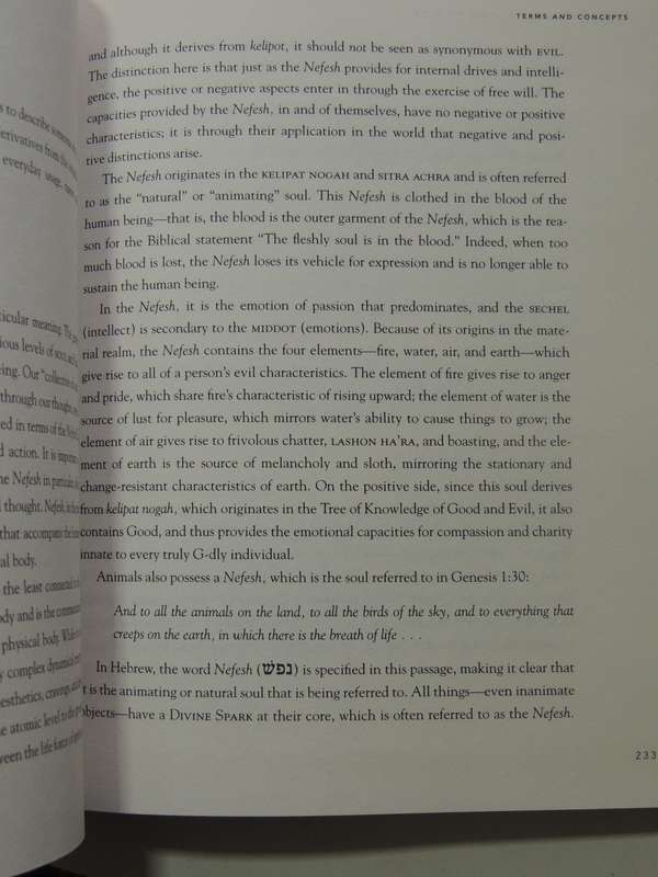 The Kabbalah Handbook: Concise Encyclopedia Of Terms & Concepts In Jewish MysticismGabriella Samuel