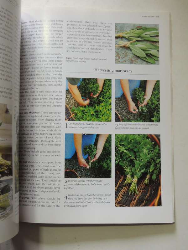 Growing Herbs: A Practical Guide To Designing, Planting And Growing - Jessica Houdret