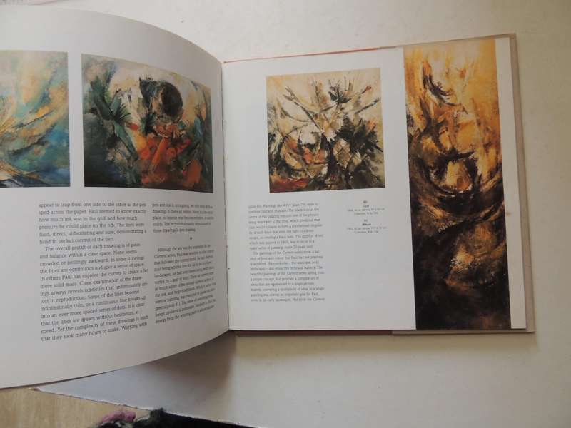 Paul Du Toit: A Painter's Journey - Kevan Martin