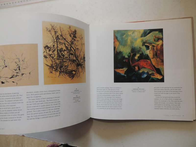 Paul Du Toit: A Painter's Journey - Kevan Martin