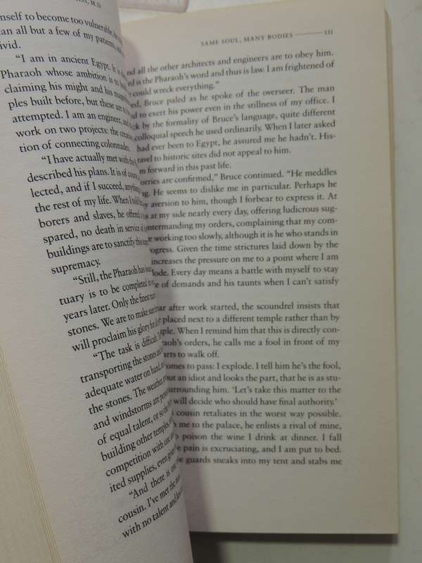 Same Soul, Many Bodies  - Dr. Brian Weiss