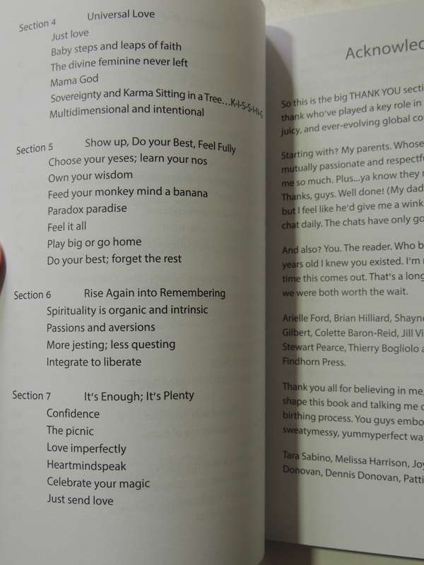 Dear Human: A Manifesto Of Love, Invitation And Invocation To Humanity - Courtney Walsh