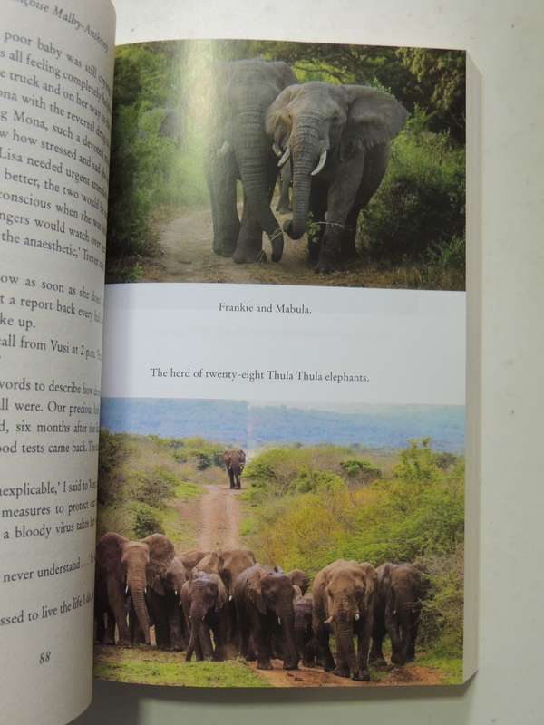 The Elephants of Thula Thula - Francoise Malby-Anthony