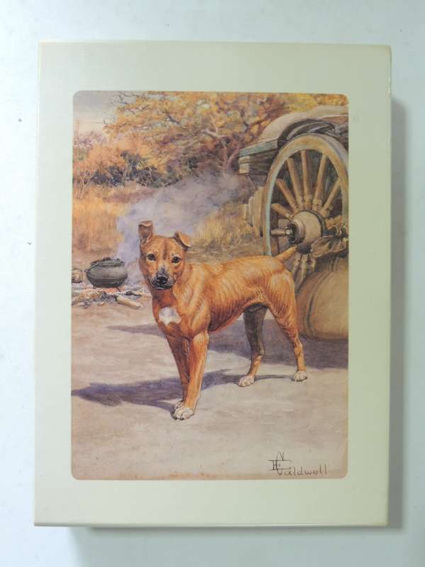 Jock of the Bushveld - Sir Percy Fitzpatrick - 1988