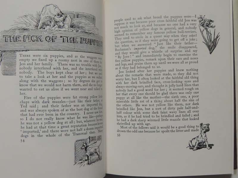 Jock of the Bushveld - Sir Percy Fitzpatrick - 1988