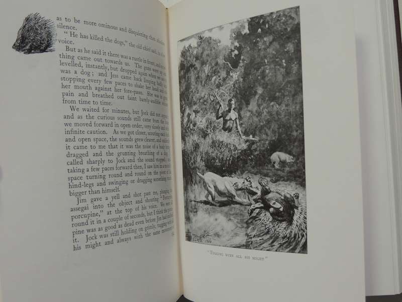 Jock of the Bushveld - Sir Percy Fitzpatrick - 1988